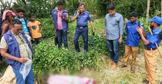 বরগুনায় ধানক্ষেতে মিললো অজ্ঞাত নারীর মরদেহ